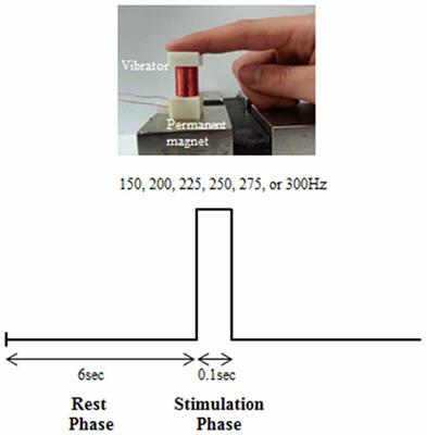 Perceptual Threshold Level for the Tactile Stimulation and Response Features of ERD/ERS-Based Specific Indices Upon Changes in High-Frequency Vibrations